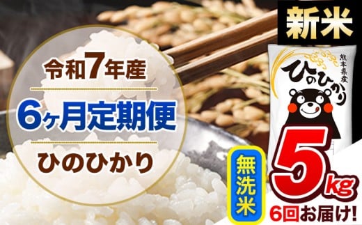 【6ヶ月定期便】新米 令和7年産  定期便 無洗米 ひのひかり 5kg 《申込み翌月から発送》令和7年産 熊本県産 ふるさと納税 精米 ひの 米 こめ ふるさとのうぜい ヒノヒカリ コメ 熊本米 ひのもり