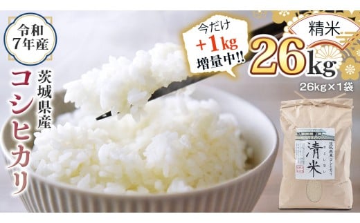 【1kg増量中】 ＜ 新米 ＞ 令和7年産 茨城県産 精米 コシヒカリ 26kg（26kg×1袋） 通常25kgのところ1kg増量中！白米 清米 キヨシマイ こしひかり 米 コメ こめ 単一米 限定 茨城県産 国産 美味しい お米 おこめ おコメ