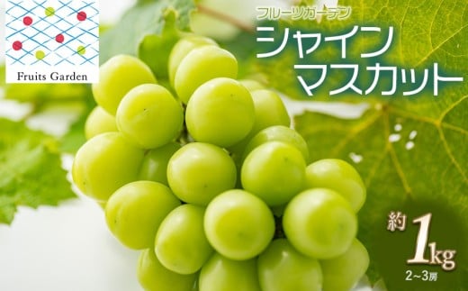 【令和7年産先行予約】 シャインマスカット 約1kg (2～3房)　山形県鶴岡市 フルーツガーデン