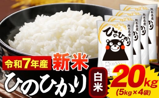 新米 白米 ひのひかり 20kg 令和7年産  熊本県産 ふるさと納税  白米 精米 ひの 米 こめ ふるさとのうぜい ヒノヒカリ コメ お米 おこめ 《9月下旬-11月上旬頃出荷》