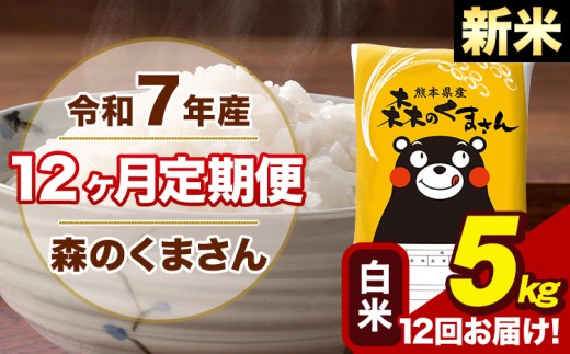 【12ヶ月定期便】令和7年産 新米 森のくまさん 白米 5kg 5kg×1袋 計12回お届け 《お申し込み月の翌月から出荷開始》 お米 こめ 熊本県産 ご飯 備蓄