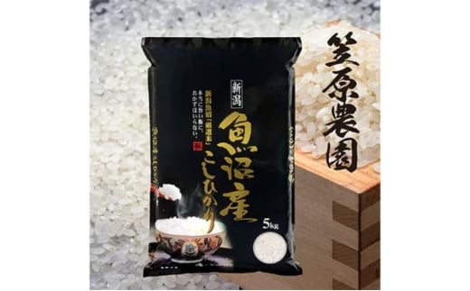 【新米】令和7年産　魚沼産コシヒカリ 5kg | 米 コメこしひかり 精米 ブランド米 お取り寄せ 十日町市