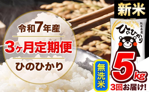 【3ヶ月定期便】新米 令和7年産  定期便 無洗米 ひのひかり 5kg 《申込み翌月から発送》令和7年産 熊本県産 ふるさと納税 精米 ひの 米 こめ ふるさとのうぜい ヒノヒカリ コメ 熊本米 