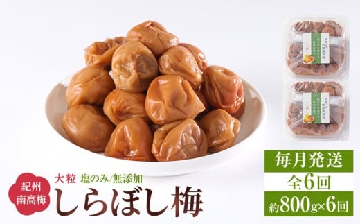 梅干し しらぼし梅  約800g（約400g×2） 塩のみ 無添加 大粒 紀州南高梅 塩分約15％ 和歌山県産 [ 定期便 毎月発送・全6回 ]