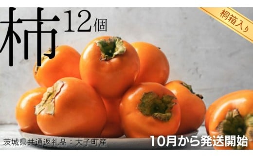 【 桐箱入り 】 柿 12個 【10月から発送開始】（茨城県共通返礼品 [柿]：大子町産） フルーツ 果物 季節 秋 ギフト 桐箱 プレゼント 贈答