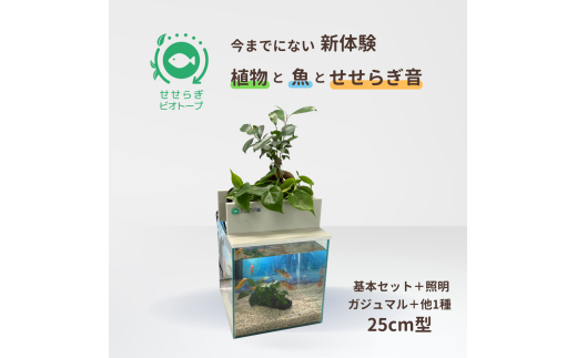 せせらぎビオトープ　25cm型基本+照明セット（ガジュマル＋他1種）