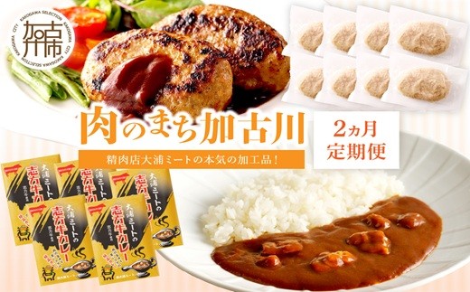 「肉のまち加古川」精肉店大浦ミートの本気の加工品！《 ハンバーグ カレー 定期便 惣菜 簡単調理 手軽 おかず 》【2501I00201】