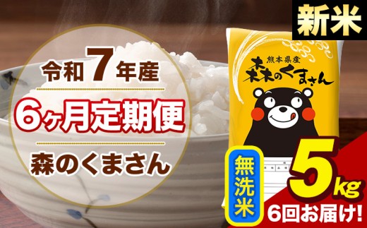 【6ヶ月定期便】令和7年産 新米 森のくまさん 無洗米 5kg 5kg×1袋 計6回お届け《お申し込み月の翌月から出荷開始》お米 こめ 熊本県産 ご飯 備蓄