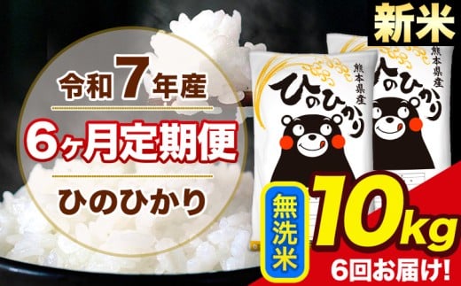 新米 令和7年産 【6ヶ月定期便】 ひのひかり 無洗米 10kg 5kg×2袋 計3回お届け 熊本県産 こめ コメ 無洗米 精米 荒尾市 ひの 米 定期 《お申込み月の翌月から出荷開始》