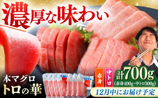 【12月中にお届け】対馬産 本マグロ 700g（赤身400g、中トロ300g） ≪対馬市≫【桐谷商店】[WAQ047-12] 2276547 - 長崎県対馬市