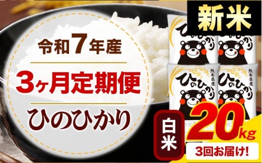 【3ヶ月定期便】新米 令和7年産 白米 ひのひかり 定期便 20kg《お申込み月の翌月から出荷開始》熊本県産 ふるさと納税 精米 ひの 米 こめ ふるさとのうぜい ヒノヒカリ コメ お米