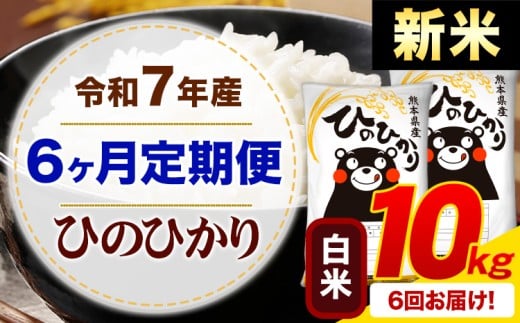 【6ヶ月定期便】新米 令和7年産 白米 ひのひかり 定期便 10kg《お申込み月の翌月から出荷開始》熊本県産 ふるさと納税 精米 ひの 米 こめ ふるさとのうぜい ヒノヒカリ コメ お米