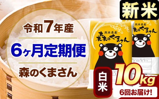 【6ヶ月定期便】新米 令和7年産 白米  森のくまさん 10kg 5kg×2袋  《お申込み月の翌月から出荷開始》 熊本県産 白米 精米 米 こめ コメ お米 kome