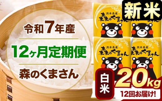 【12ヶ月定期便】新米 令和7年産 白米  森のくまさん 20kg 5kg×4袋  《お申込み月の翌月から出荷開始》 熊本県産 白米 精米 米 こめ コメ お米 kome