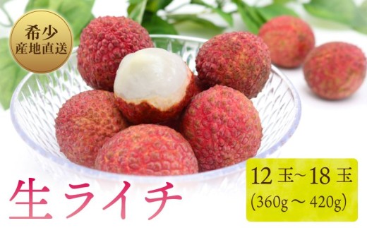 【令和8年6月上旬より発送】先行予約 生ライチ 国産 室戸海洋深層水使用 ライチ 果物 くだもの 季節限定 期間限定 数量限定 旬 限定 国産 贈答 ギフト 贈り物 プレゼント 高知県 室戸市