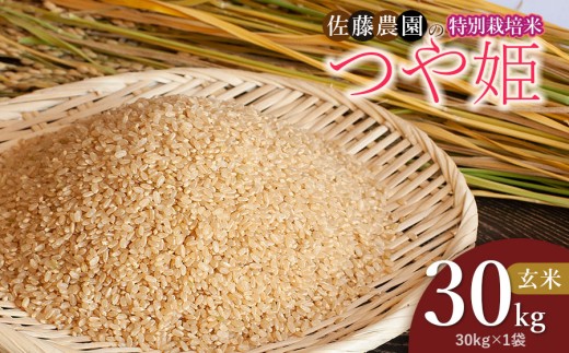 【令和7年産】特別栽培米つや姫 玄米 30kg(30kg×1袋)　山形県鶴岡市 佐藤農園 2276002 - 山形県鶴岡市