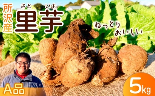 里芋 A品 5kg | さといも サトイモ 芋 いも イモ 根菜 野菜 芋煮 煮物 煮込み 料理 鍋 和食 新鮮 掘りたて ねっとり 国産 産地直送 季節限定 三富 こうやま農園 埼玉県 所沢市