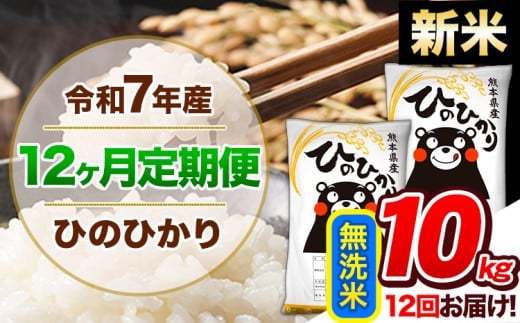 【12ヶ月定期便】新米 令和7年産  定期便 無洗米 ひのひかり 10kg 《申込み翌月から発送》令和7年産 熊本県産 ふるさと納税 精米 ひの 米 こめ ふるさとのうぜい ヒノヒカリ コメ 熊本米 ひのもり