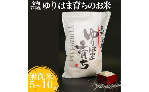 ゆりはま育ちのお米◇無洗米◇令和7年産
