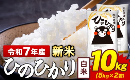 新米 令和7年産 白米 米 ひのひかり 10kg《9月下旬-11月上旬頃出荷》熊本県 菊池市 国産 熊本県産 白米 精米 送料無料 ヒノヒカリ こめ お米 