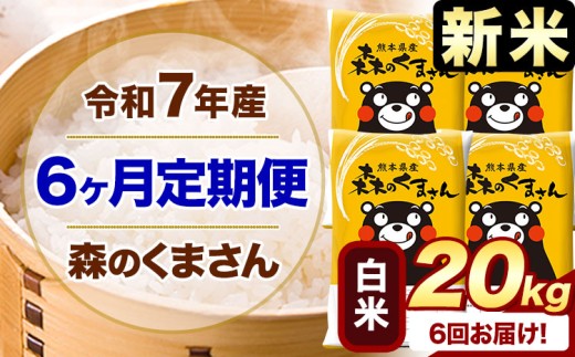 【6ヶ月定期便】新米 令和7年産 白米  森のくまさん 20kg 5kg×4袋  《お申込み月の翌月から出荷開始》 熊本県産 白米 精米 米 こめ コメ お米 kome