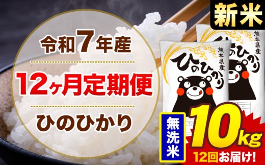 【12ヶ月定期便】新米 令和7年産 無洗米 10kg 米 ひのひかり《お申込み月の翌月から出荷開始》熊本県 菊池市 国産 熊本県産 白米 精米 無洗米 送料無料 ヒノヒカリ こめ お米 