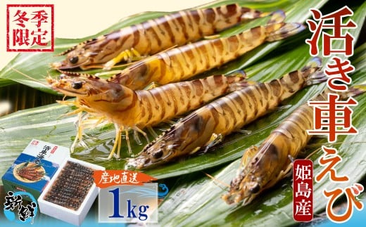 【期間限定】姫島産 活き車えび  (養殖) 1kg 常温配送 お歳暮ギフト 熨斗可 【宅配ボックス不可】 国産 海鮮 ギフト 刺身 焼き しゃぶしゃぶ A33 2263303 - 大分県姫島村