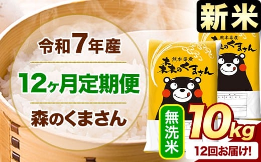 【12ヶ月定期便】新米 令和7年産 無洗米  森のくまさん 10kg 5kg×2袋  《お申込み月の翌月から出荷開始》 熊本県産 無洗米 精米 米 こめ コメ お米 kome