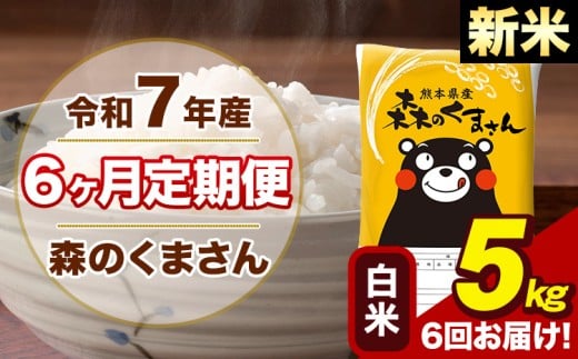 【6ヶ月定期便】令和7年産 新米 森のくまさん 白米 5kg 5kg×1袋 計6回お届け《お申し込み月の翌月から出荷開始》お米 こめ 熊本県産 ご飯 備蓄