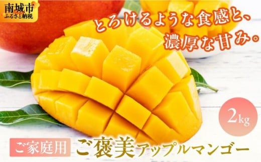 【2026年発送・先行予約】ご家庭用ご褒美アップルマンゴー　2kg