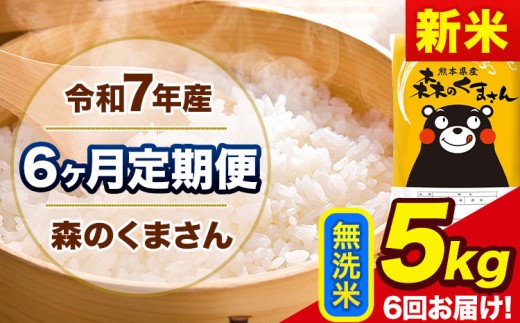 新米 令和7年産 森のくまさん 【6ヶ月定期便】 無洗米 《お申し込み月の翌月から出荷開始》 5kg (5kg×1袋) 計6回お届け 熊本県産 単一原料米 森くま 熊本県 玉東町