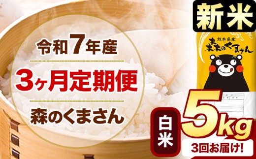 【3ヶ月定期便】新米 令和7年産 白米  森のくまさん 5kg 5kg×1袋  《お申込み月の翌月から出荷開始》 熊本県産 白米 精米 米 こめ コメ お米 kome