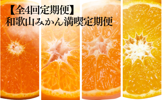 【全4回定期便】和歌山みかん満喫定期便 （早生みかん・ぽんかん・季節のお任せ柑橘・せとか各3kgずつ） ※2025年12月より4回お届け / みかん 定期便 柑橘 せとか フルーツ 早生みかん ミカン 和歌山 果物 田辺市 くだもの【tcs022-tk】