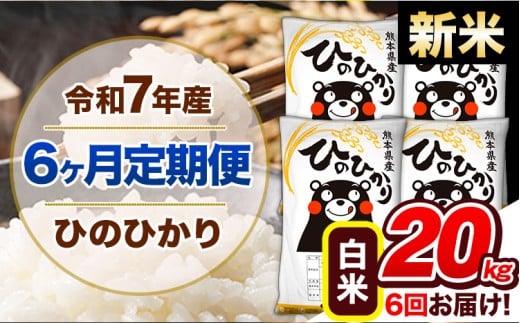 【6ヶ月定期便】新米 令和7年産 定期便 ひのひかり20kg 《申込み翌月から発送》令和7年産 熊本県産 ふるさと納税 白米 精米 ひの 米 こめ ふるさとのうぜい ヒノヒカリ コメ 熊本米 ひのもり
