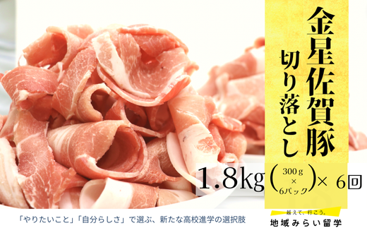 [定期便]豚肉定期便(連続6回/豚肉切り落とし)