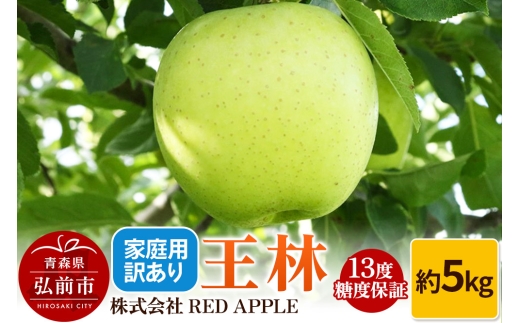 【25年12月発送】りんご 13度糖度保証【訳あり】家庭用 王林 約5kg【レビューキャンペーン】