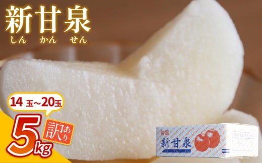 【先行予約】（訳あり）中野農園 梨 ”新甘泉” 5kg箱｜鳥取 岩美 梨 なし ナシ  赤梨 果物 フルーツ【41022】