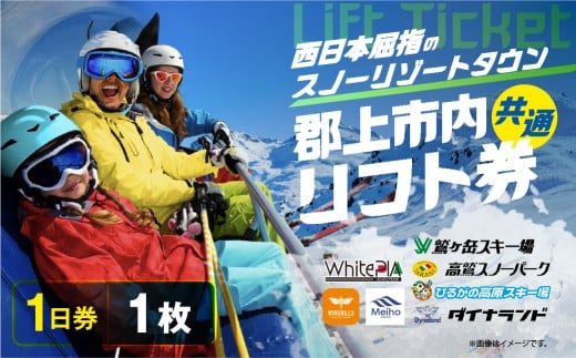 郡上市内スキー場リフト1日券(1枚) カタログギフト チケット その他 20000円 G0134a