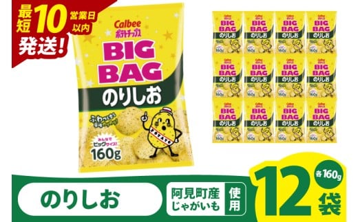 【10営業日以内に出荷】カルビー ポテトチップス のりしお BIGBAG（160g）×12個｜Calbee お菓子 菓子 おやつ おかし ぽてち ポテチ スナック おつまみ ジャガイモ じゃがいも（93-61）