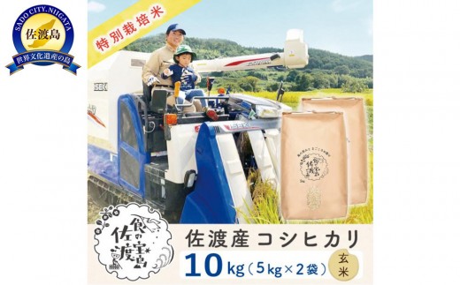 【新米予約】佐渡島産コシヒカリ 玄米10kg（5kg×2袋） 特別栽培米 農家直送 1058874 - 新潟県佐渡市