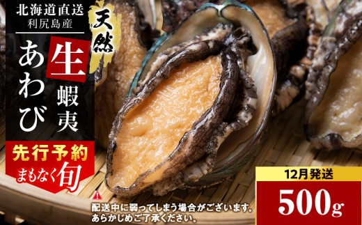【12月発送！】利尻島産 直送！天然 活えぞあわび 500g 鮑 海鮮 冷蔵 お刺身 魚介 お祝い 年末【福士水産】