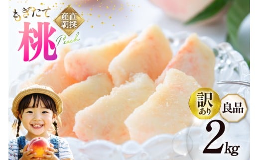 【2026年発送】訳あり 桃 山梨 良品 朝どれ 大玉 約 2.0kg 4～6玉 家庭用 朝獲れ もぎたて もも モモ フルーツ 果物 山梨県産 産地直送 期間限定 季節限定 冷蔵 農家直送 白鳳 夢みずき 浅間白桃 なつっこ 紅くにか 川中島白桃 [韮崎市桃農家の産直 山梨県 韮崎市 20745234] 269409 - 山梨県韮崎市
