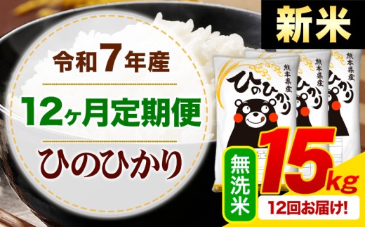 【12ヶ月定期便】新米 令和7年産 無洗米 ひのひかり 定期便 15kg《お申込み月の翌月から出荷開始》熊本県産 ふるさと納税 精米 ひの 米 こめ ふるさとのうぜい ヒノヒカリ コメ お米