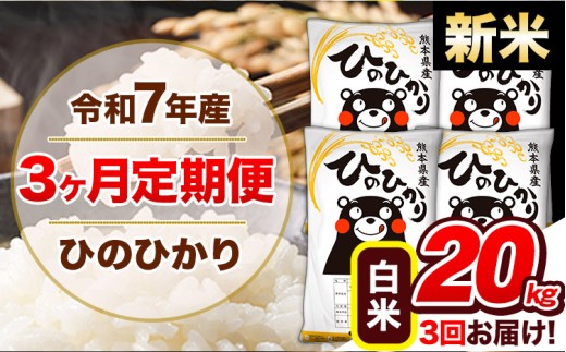 【3ヶ月定期便】新米 令和7年産  定期便 ひのひかり20kg 《申込み翌月から発送》令和7年産 熊本県産 ふるさと納税 白米 精米 ひの 米 こめ ふるさとのうぜい ヒノヒカリ コメ 熊本米 ひのもり