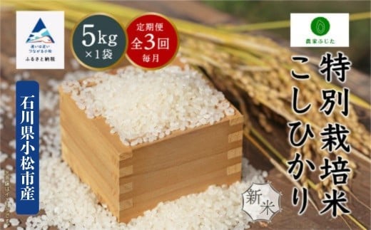 【定期便】コシヒカリ 5kg × 3回 令和7年産 特別栽培米 こしひかり 精米（毎月） コメ お米 3ヵ月 3ヶ月 3か月 石川県 小松市【農家ふじた】 2277797 - 石川県小松市