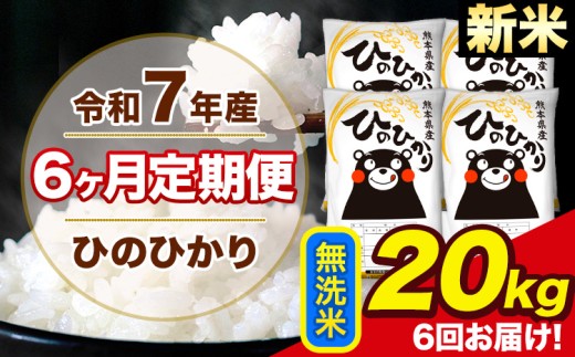 新米 令和7年産 【6ヶ月定期便】 ひのひかり 無洗米 20kg 5kg×4袋 計6回お届け 熊本県産 こめ コメ 無洗米 精米 荒尾市 ひの 米 定期 《お申込み月の翌月から出荷開始》