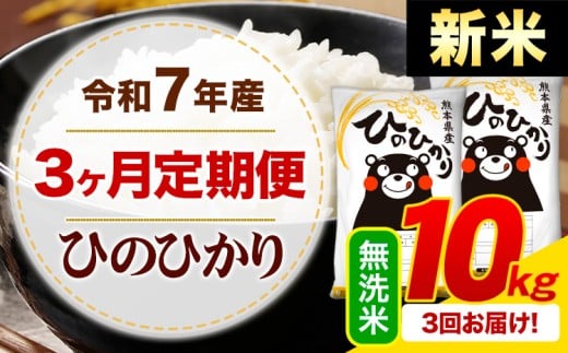 【3ヶ月定期便】新米 令和7年産 無洗米 ひのひかり 定期便 10kg《お申込み月の翌月から出荷開始》熊本県産 ふるさと納税 精米 ひの 米 こめ ふるさとのうぜい ヒノヒカリ コメ お米
