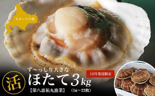 【12月発送限定】オホーツク産 ずっしり大きな『活』 ほたて 3kg（16～22枚） 【 ふるさと納税 人気 おすすめ ランキング 魚介類 貝 ほたて ホタテ 帆立 帆立貝柱 ホタテ貝柱 ほたて貝柱 新鮮 北海道 佐呂間町 送料無料 】 SRMN022 1322991 - 北海道佐呂間町