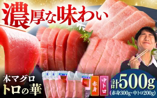 【通常配送】対馬産 本マグロ 500g（赤身300g、中トロ200g） ≪対馬市≫【桐谷商店】 [WAQ043] 2276544 - 長崎県対馬市