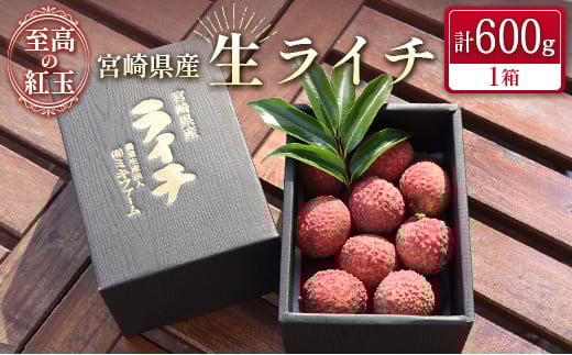 宮崎県産 生ライチ「至高の紅玉」計600g ≪2026年6月下旬～発送≫ 人気 国産 希少 果物 旬 ギフト プレゼント【C453】